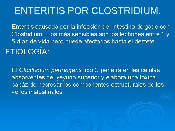 ENTERITIS POR CLOSTRIDIUM. Enteritis causada por la infección del intestino delgado con Clostridium. Los