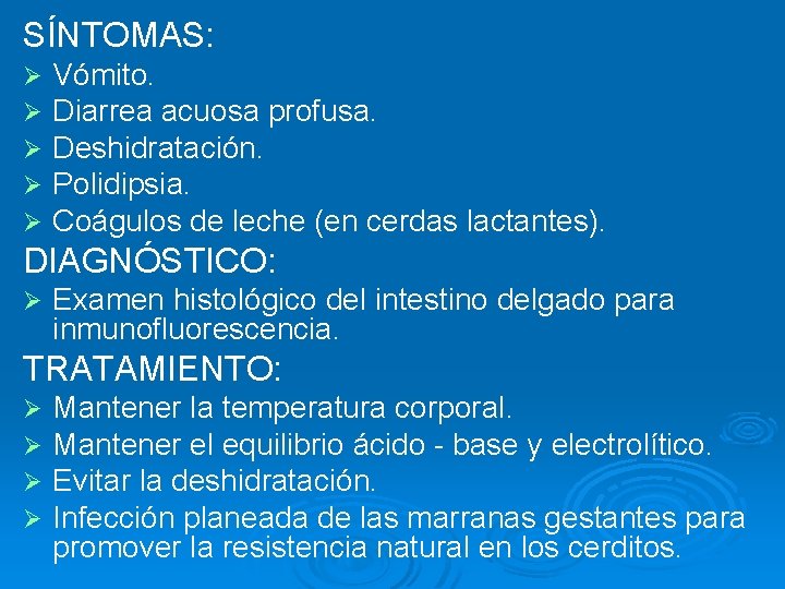 SÍNTOMAS: Ø Ø Ø Vómito. Diarrea acuosa profusa. Deshidratación. Polidipsia. Coágulos de leche (en SÍNTOMAS: Ø Ø Ø Vómito. Diarrea acuosa profusa. Deshidratación. Polidipsia. Coágulos de leche (en
