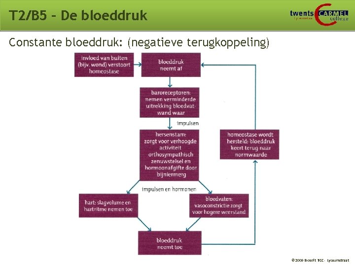 T 2/B 5 – De bloeddruk Constante bloeddruk: (negatieve terugkoppeling) © 2009 Biosoft TCC