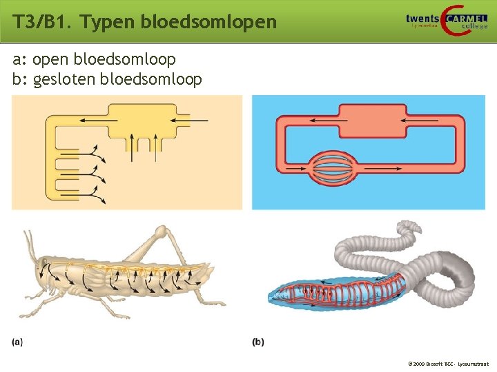 T 3/B 1. Typen bloedsomlopen a: open bloedsomloop b: gesloten bloedsomloop © 2009 Biosoft