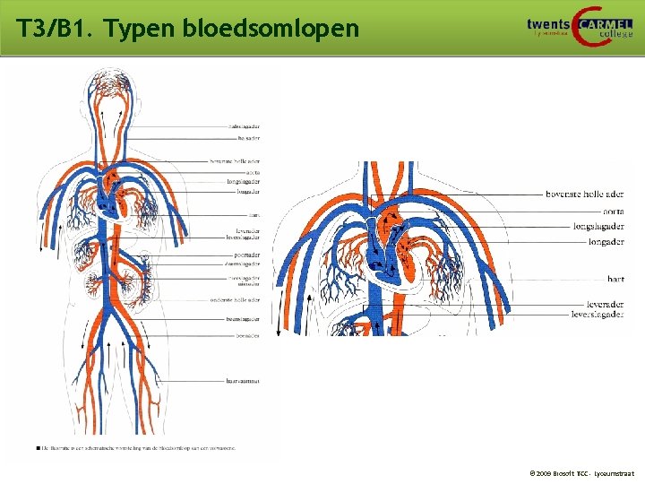 T 3/B 1. Typen bloedsomlopen © 2009 Biosoft TCC - Lyceumstraat 