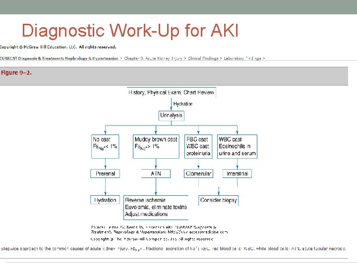 Diagnostic Work-Up for AKI Diagnostic Work-Up for AKI