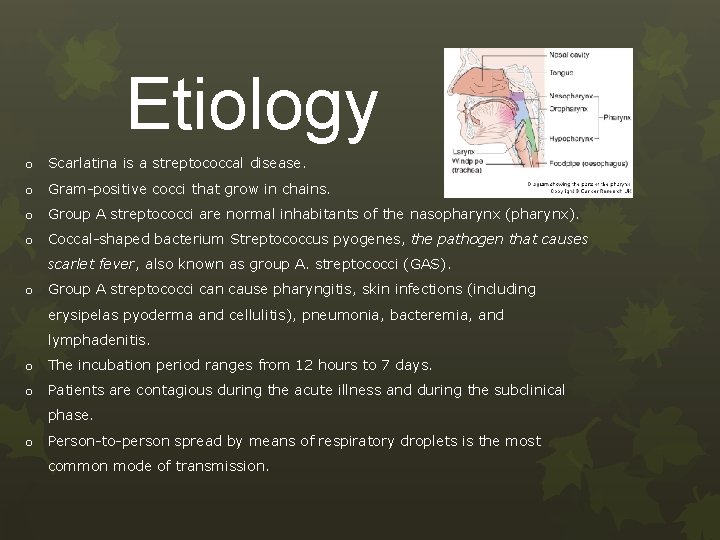 Etiology o Scarlatina is a streptococcal disease. o Gram-positive cocci that grow in chains.