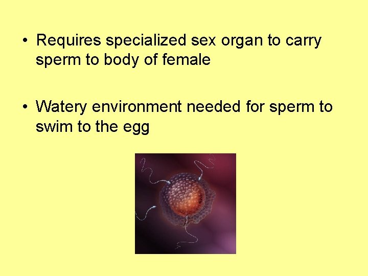  • Requires specialized sex organ to carry sperm to body of female •