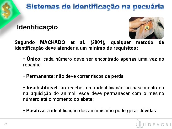Identificação Segundo MACHADO et al. (2001), qualquer método identificação deve atender a um mínimo