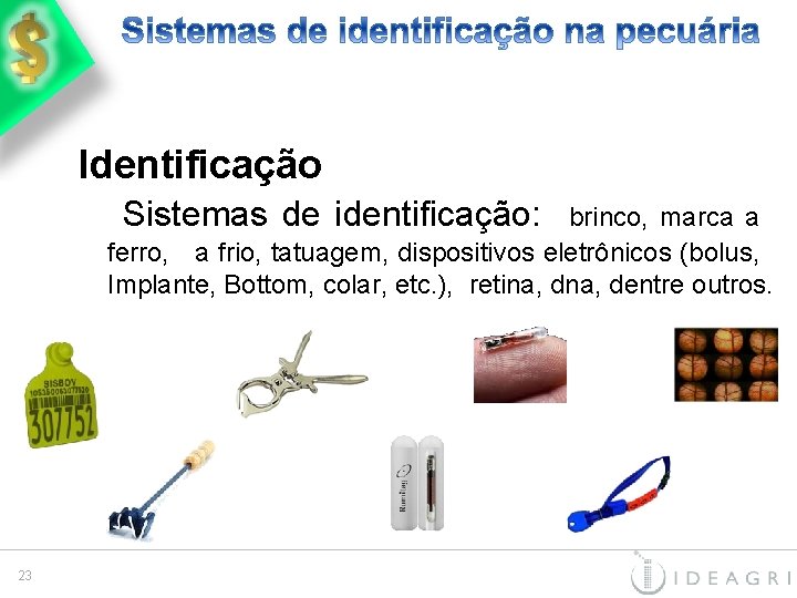 Identificação Sistemas de identificação: brinco, marca a ferro, a frio, tatuagem, dispositivos eletrônicos (bolus,