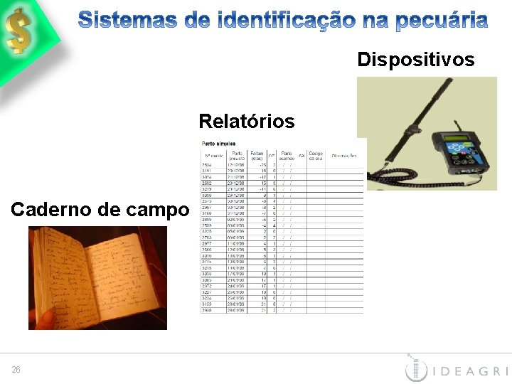 Dispositivos Relatórios Caderno de campo 26 