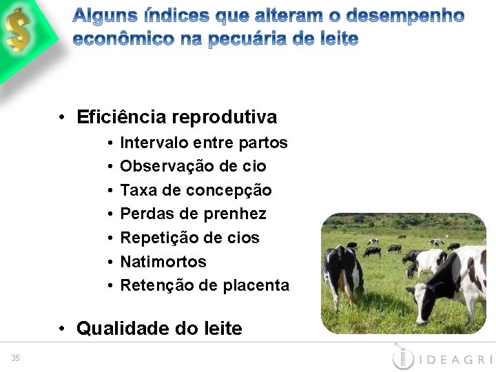 • Eficiência reprodutiva • • Intervalo entre partos Observação de cio Taxa de