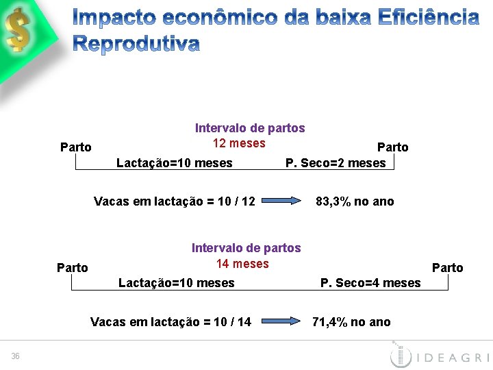 Parto Intervalo de partos 12 meses Lactação=10 meses Parto P. Seco=2 meses Vacas em