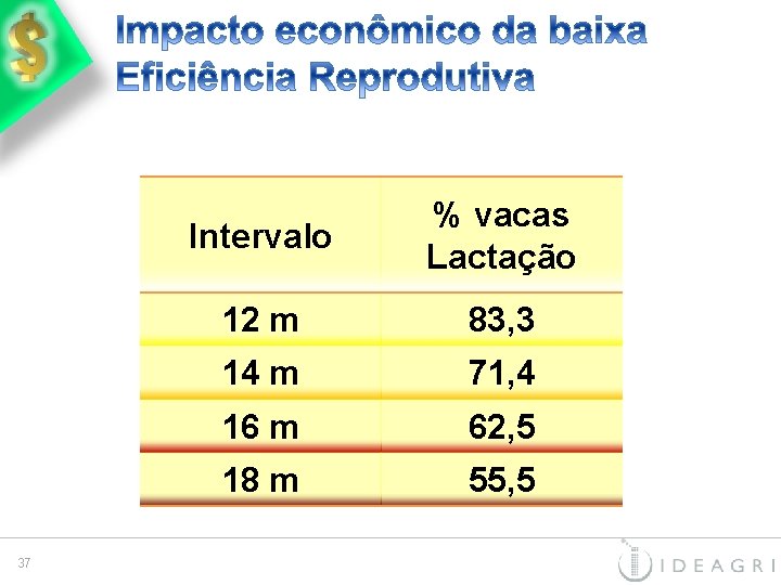 37 Intervalo % vacas Lactação 12 m 83, 3 14 m 71, 4 16