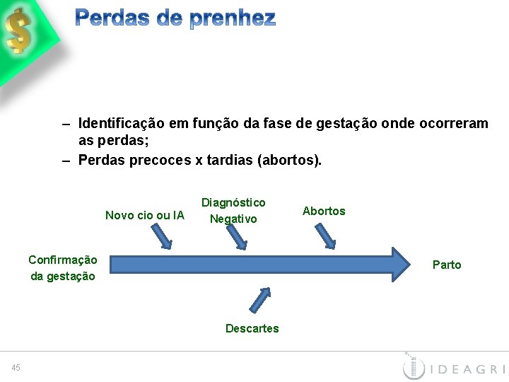 – Identificação em função da fase de gestação onde ocorreram as perdas; – Perdas