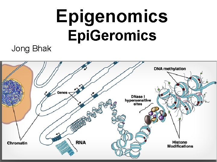 Epigenomics Epi. Geromics Jong Bhak 