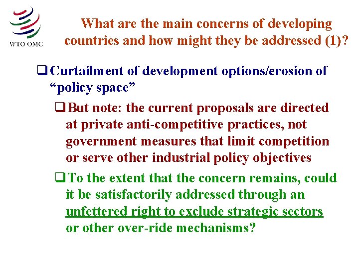 What are the main concerns of developing countries and how might they be addressed