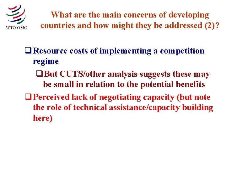 What are the main concerns of developing countries and how might they be addressed