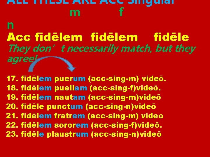 ALL THESE ARE ACC Singular m f n Acc fidēlem fidēle They don’t necessarily