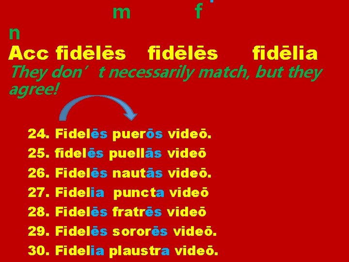 m n Acc fidēlēs fidēlia They don’t necessarily match, but they agree! 24. 25.
