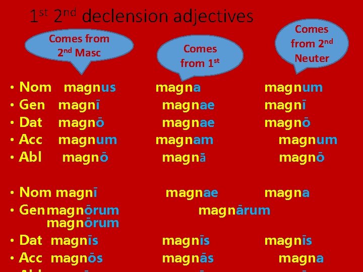 1 st 2 nd declension adjectives Comes from 2 nd Masc • • •