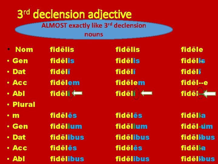 3 rd declension adjective ALMOST exactly like 3 rd declension nouns • Nom •