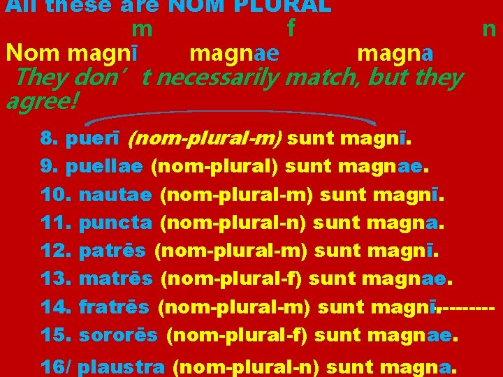 All these are NOM PLURAL m f Nom magnī magnae magna n They don’t