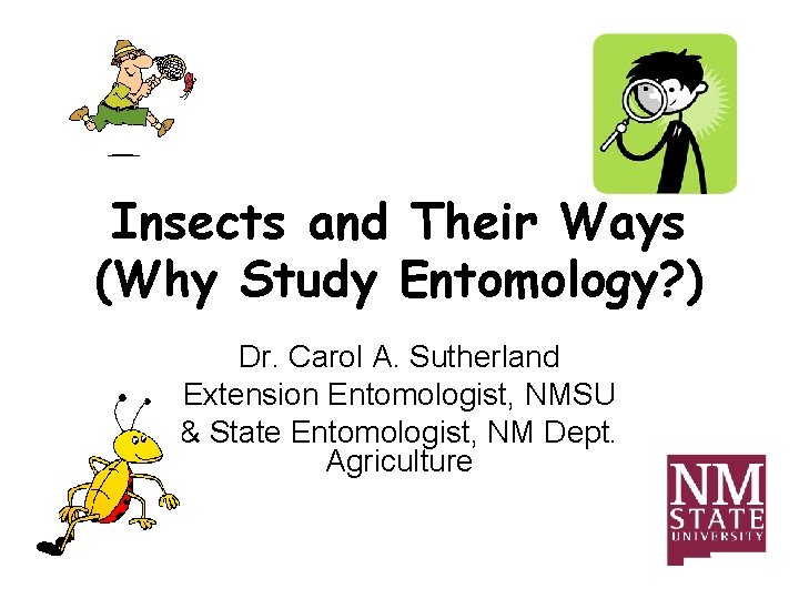 Insects and Their Ways Why Study Entomology Dr