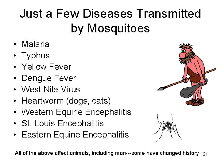 Just a Few Diseases Transmitted by Mosquitoes • • • Malaria Typhus Yellow Fever