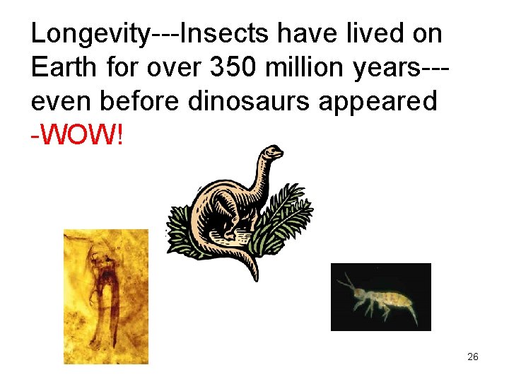 Longevity---Insects have lived on Earth for over 350 million years--even before dinosaurs appeared -WOW!