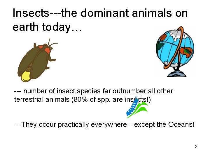 Insects---the dominant animals on earth today… --- number of insect species far outnumber all