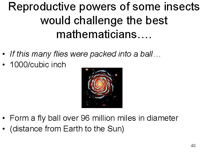 Reproductive powers of some insects would challenge the best mathematicians…. • If this many