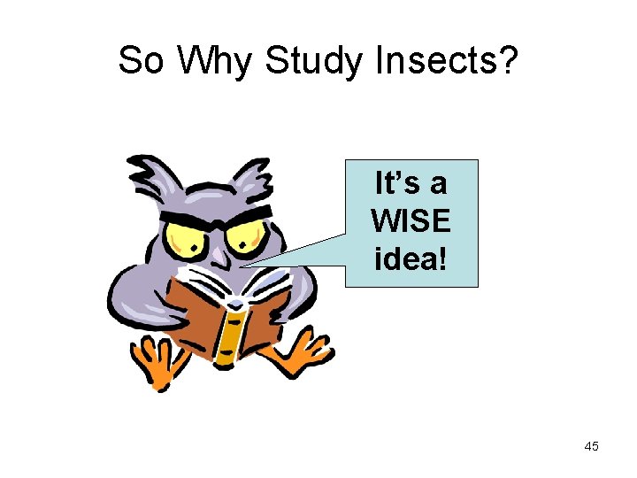 So Why Study Insects? It’s a WISE idea! 45 