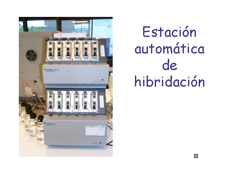 Estación automática de hibridación Estación automática de hibridación