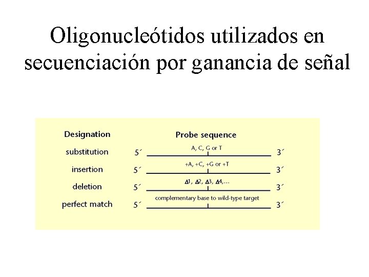Oligonucleótidos utilizados en secuenciación por ganancia de señal Oligonucleótidos utilizados en secuenciación por ganancia de señal