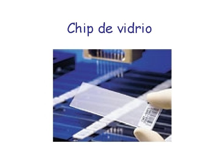 Chip de vidrio Chip de vidrio