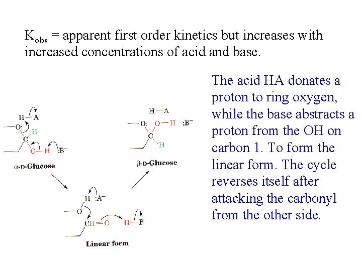 Kobs = apparent first order kinetics but increases with increased concentrations of acid and Kobs = apparent first order kinetics but increases with increased concentrations of acid and