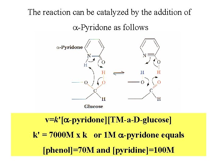 The reaction can be catalyzed by the addition of a-Pyridone as follows v=k'[a-pyridone][TM-a-D-glucose] k'