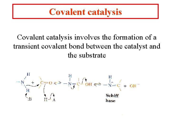 Covalent catalysis involves the formation of a transient covalent bond between the catalyst and Covalent catalysis involves the formation of a transient covalent bond between the catalyst and