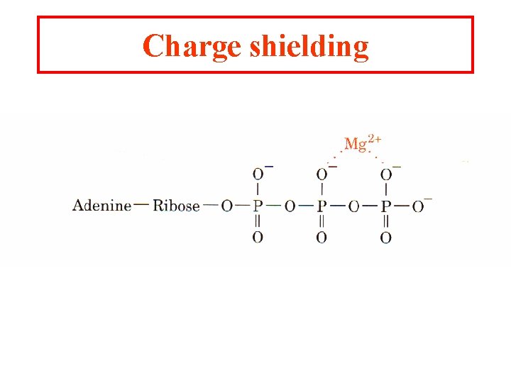 Charge shielding Charge shielding