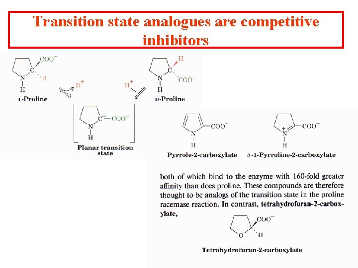 Transition state analogues are competitive inhibitors Transition state analogues are competitive inhibitors