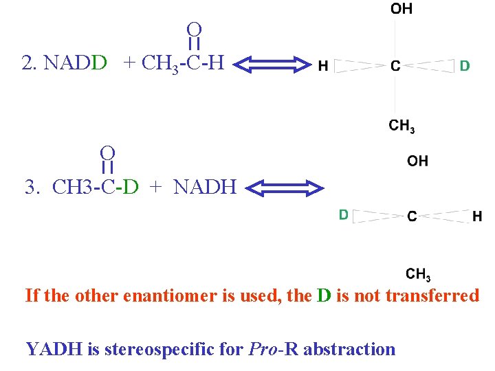 O 2. NADD + CH 3 -C-H O 3. CH 3 -C-D + NADH O 2. NADD + CH 3 -C-H O 3. CH 3 -C-D + NADH