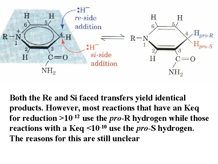 Both the Re and Si faced transfers yield identical products. However, most reactions that Both the Re and Si faced transfers yield identical products. However, most reactions that