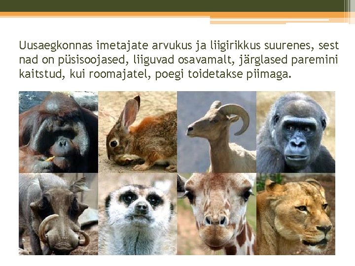 Uusaegkonnas imetajate arvukus ja liigirikkus suurenes, sest nad on püsisoojased, liiguvad osavamalt, järglased paremini Uusaegkonnas imetajate arvukus ja liigirikkus suurenes, sest nad on püsisoojased, liiguvad osavamalt, järglased paremini