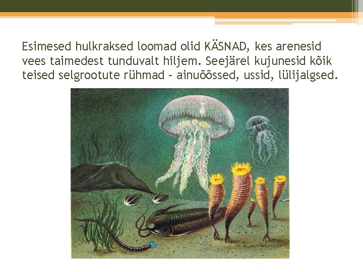 Esimesed hulkraksed loomad olid KÄSNAD, kes arenesid vees taimedest tunduvalt hiljem. Seejärel kujunesid kõik Esimesed hulkraksed loomad olid KÄSNAD, kes arenesid vees taimedest tunduvalt hiljem. Seejärel kujunesid kõik