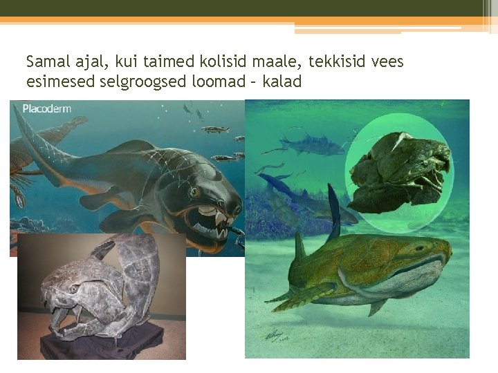 Samal ajal, kui taimed kolisid maale, tekkisid vees esimesed selgroogsed loomad – kalad Samal ajal, kui taimed kolisid maale, tekkisid vees esimesed selgroogsed loomad – kalad