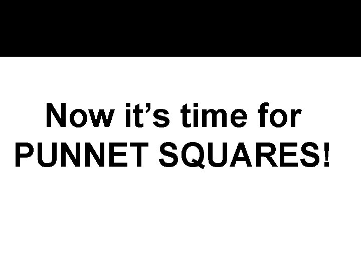 Now it’s time for PUNNET SQUARES! 