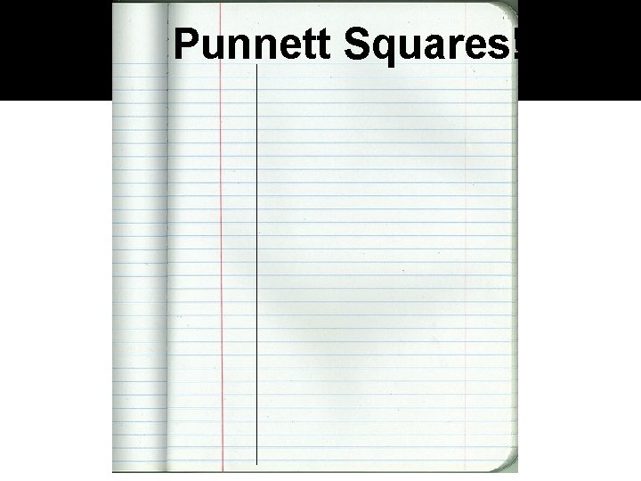 Punnett Squares! 