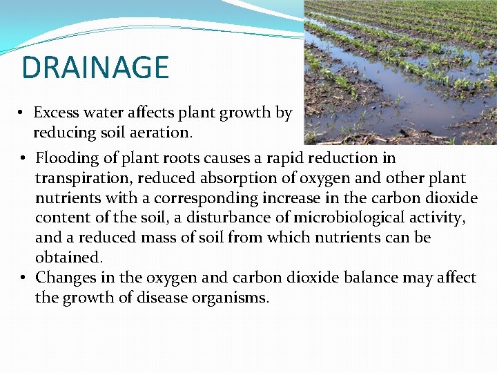 DRAINAGE • Excess water affects plant growth by reducing soil aeration. • Flooding of