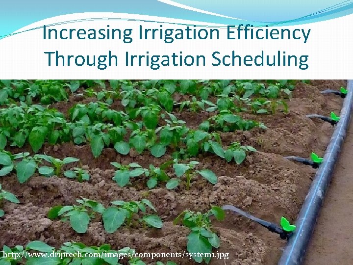 Increasing Irrigation Efficiency Through Irrigation Scheduling http: //www. driptech. com/images/components/system 1. jpg 