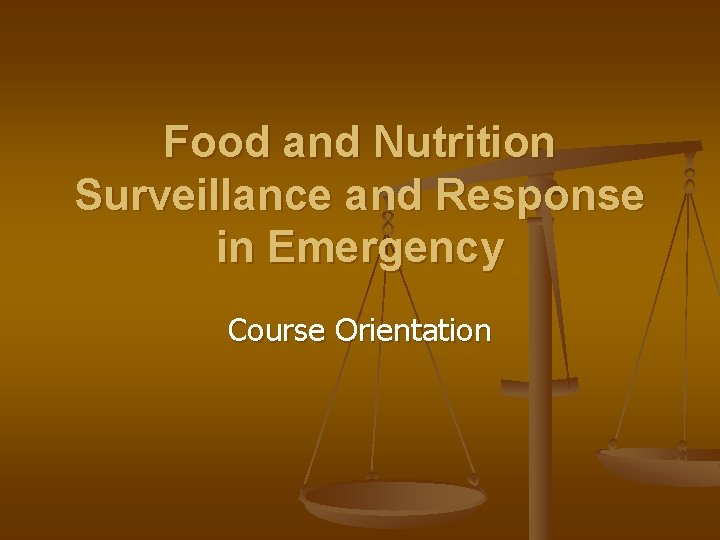 Food and Nutrition Surveillance and Response in Emergency Course Orientation 