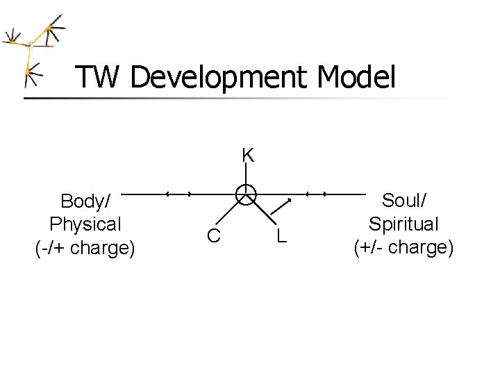 TW Development Model K Body/ Physical (-/+ charge) C L Soul/ Spiritual (+/- charge) TW Development Model K Body/ Physical (-/+ charge) C L Soul/ Spiritual (+/- charge)