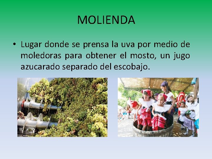 MOLIENDA • Lugar donde se prensa la uva por medio de moledoras para obtener MOLIENDA • Lugar donde se prensa la uva por medio de moledoras para obtener