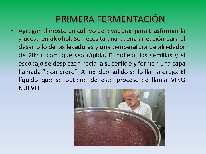 PRIMERA FERMENTACIÓN • Agregar al mosto un cultivo de levaduras para trasformar la glucosa PRIMERA FERMENTACIÓN • Agregar al mosto un cultivo de levaduras para trasformar la glucosa